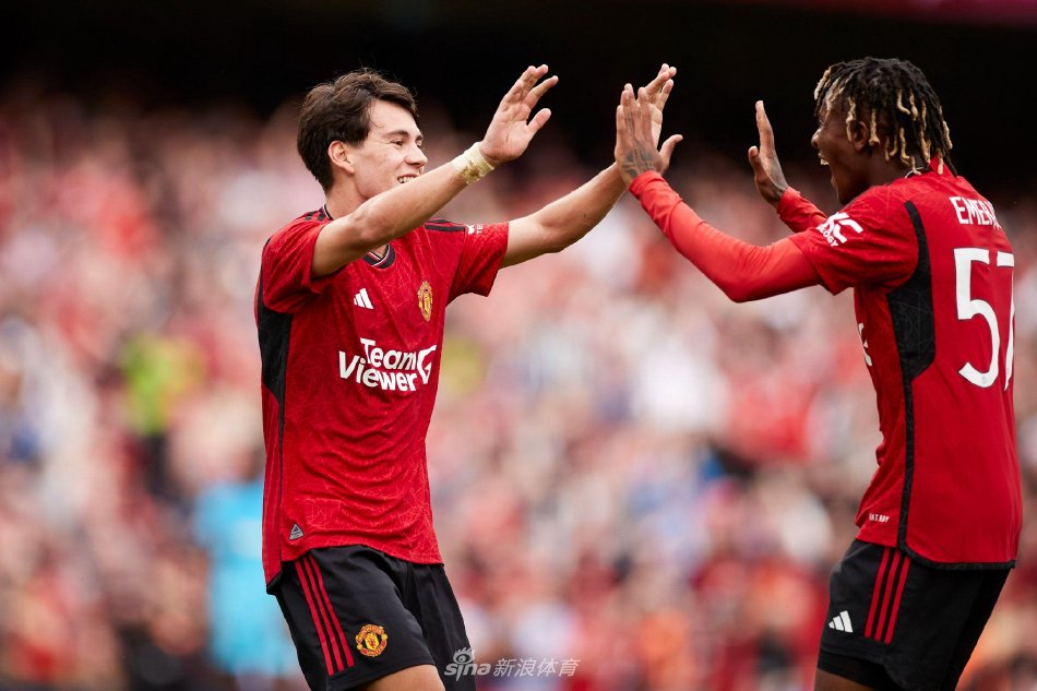 详细分析了 详细分析了